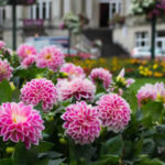 Garden Competition