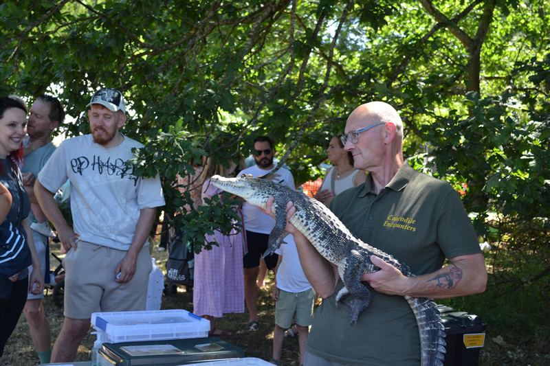 Have a crocodile encounter